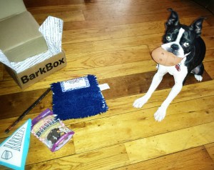 20140917_144458_1_1 (1)