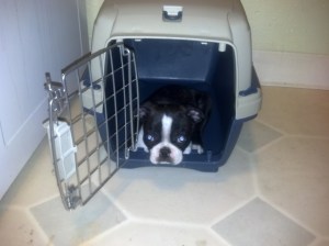 IMG_20130820_050950_438