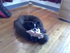 IMG_20130917_165306_810 (1)