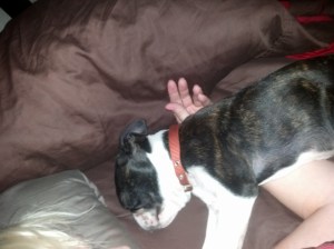 IMG_20131016_175758_553