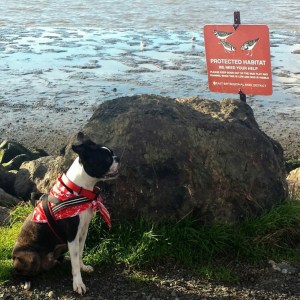 Screenshot_2015-01-08-22-14-51_1