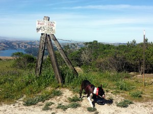 20150428_163601(0)_1