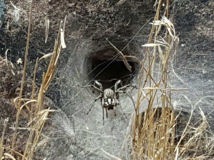 20150905_145350-01.jpeg image