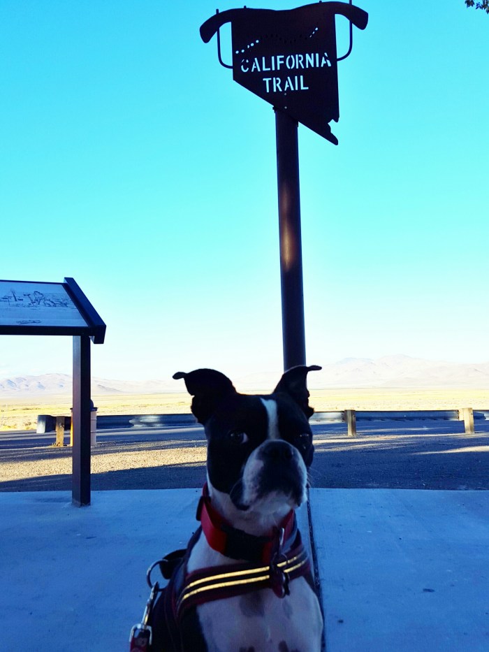 20150905_175936-02.jpeg image