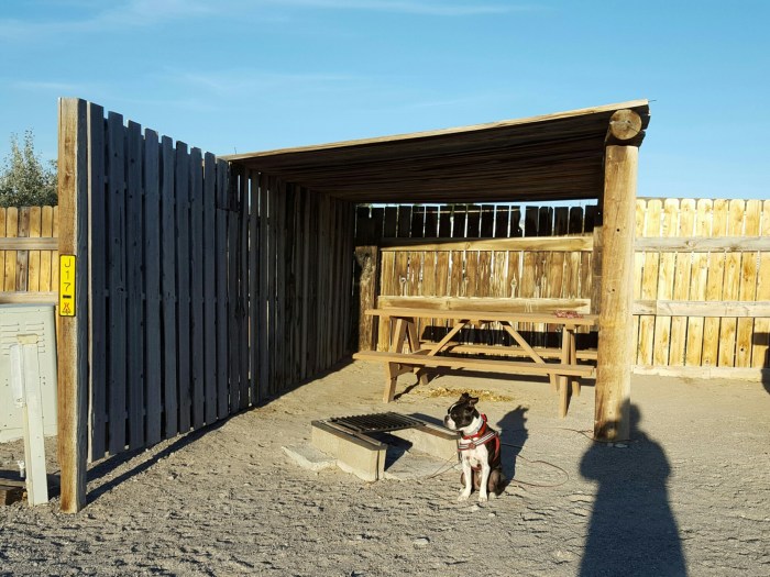 20150906_080232-01.jpeg image