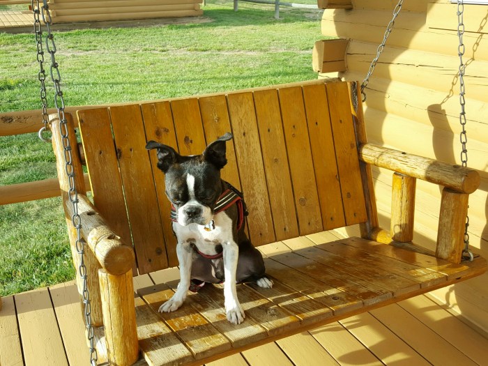 20150907_081410-01.jpeg image