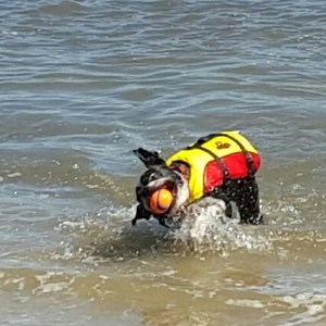 20150910_135202-01-01