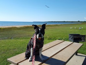 20150913_105242(0)-01