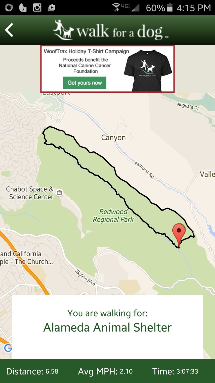 Screenshot (December 18, 2015 4_15 PM)-01