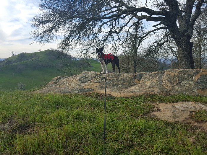 20160210_152455(0)-01