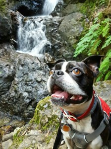 IMG_20160419_141336-01